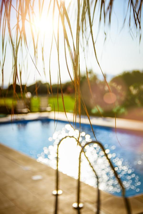 Martimi Apartments - 200M From Drapanias Beach - Pool - Hot Tub - Sauna - Bbq Kíssamos Buitenkant foto